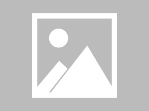 科技创新与乡村振兴，双刃剑与合力的平衡